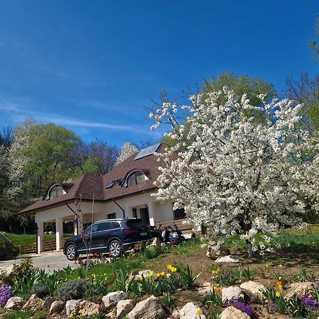Provence Suceava Hotel Exterior foto