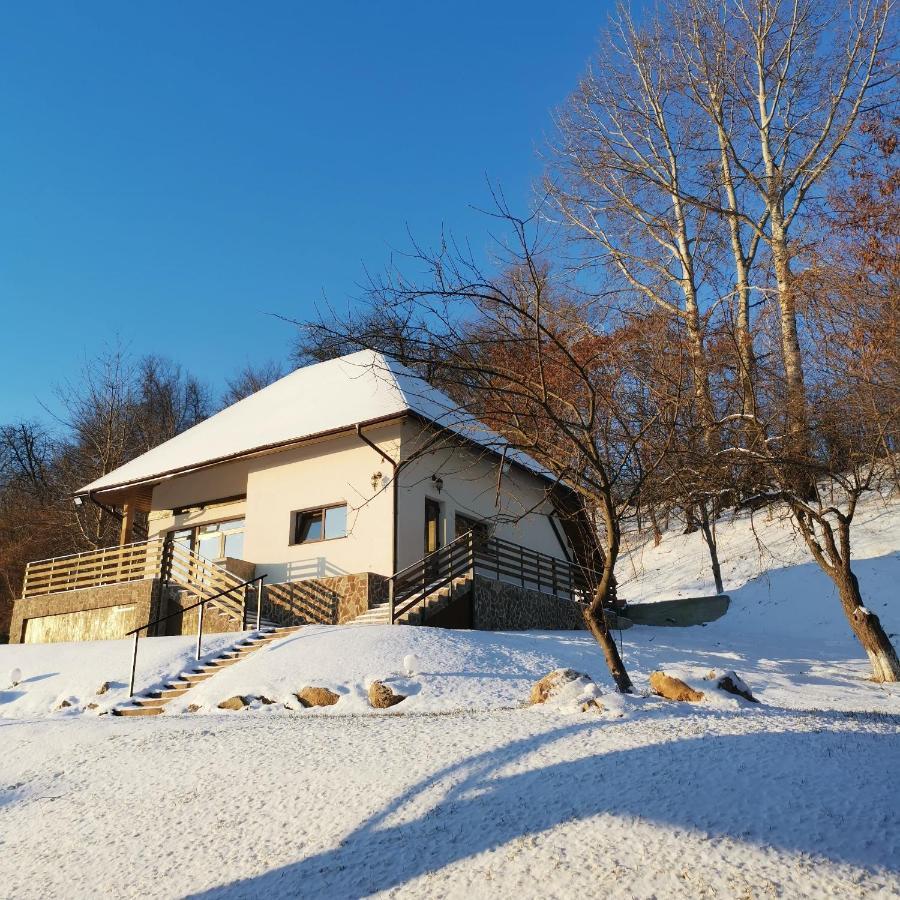 Provence Suceava Hotel Exterior foto