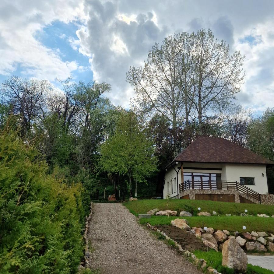 Provence Suceava Hotel Exterior foto