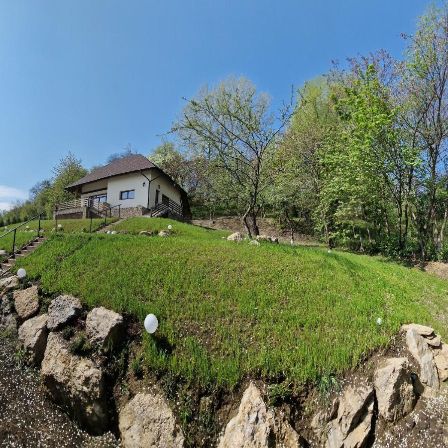 Provence Suceava Hotel Exterior foto