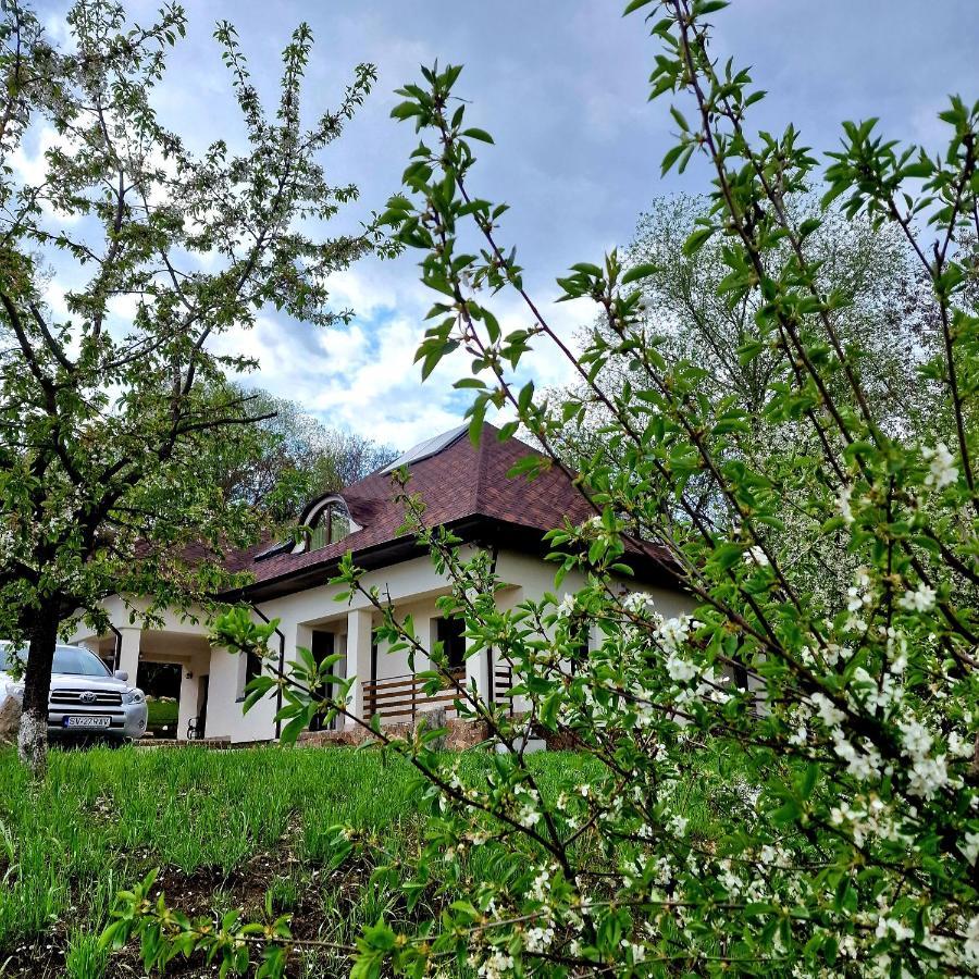 Provence Suceava Hotel Exterior foto