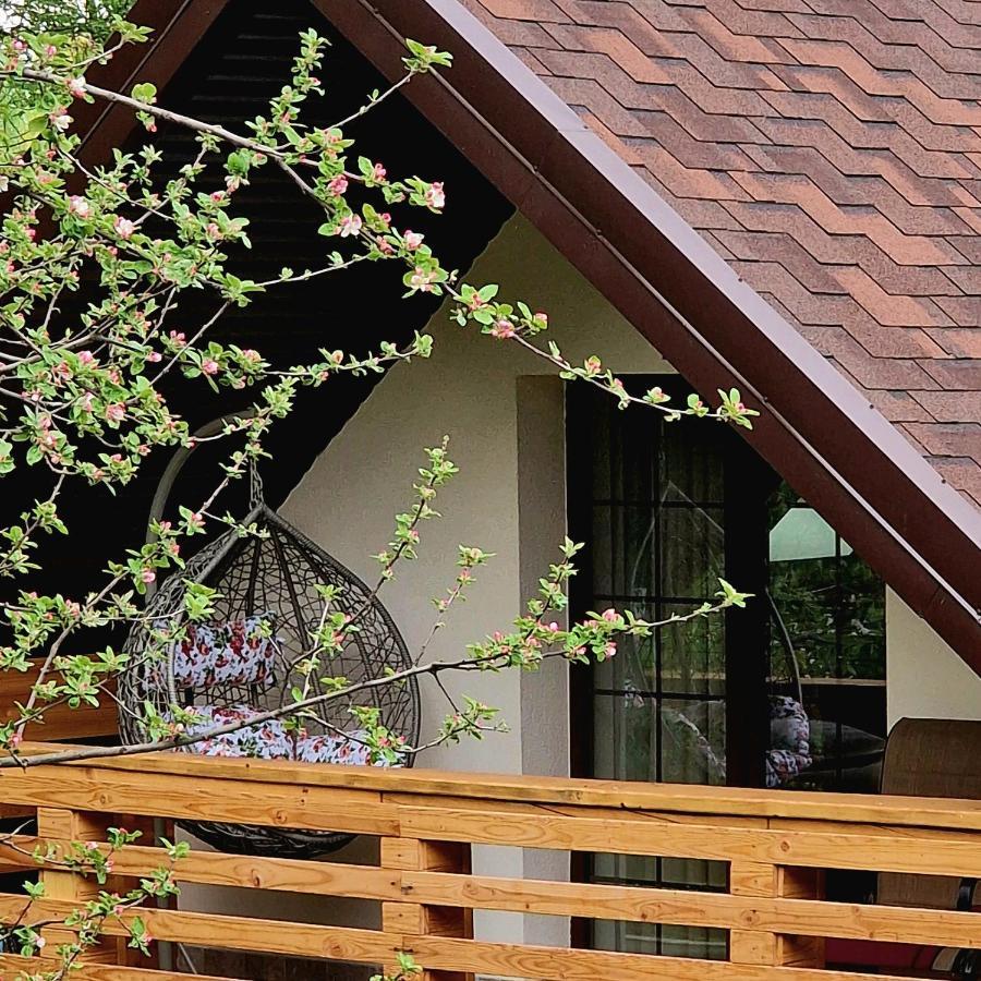 Provence Suceava Hotel Exterior foto