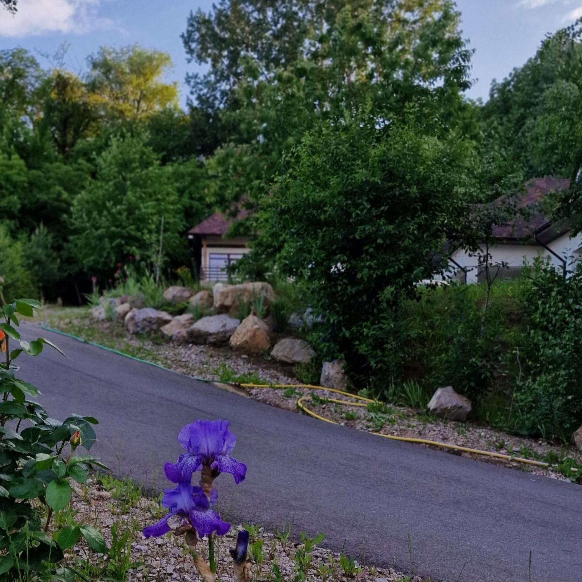 Provence Suceava Hotel Exterior foto