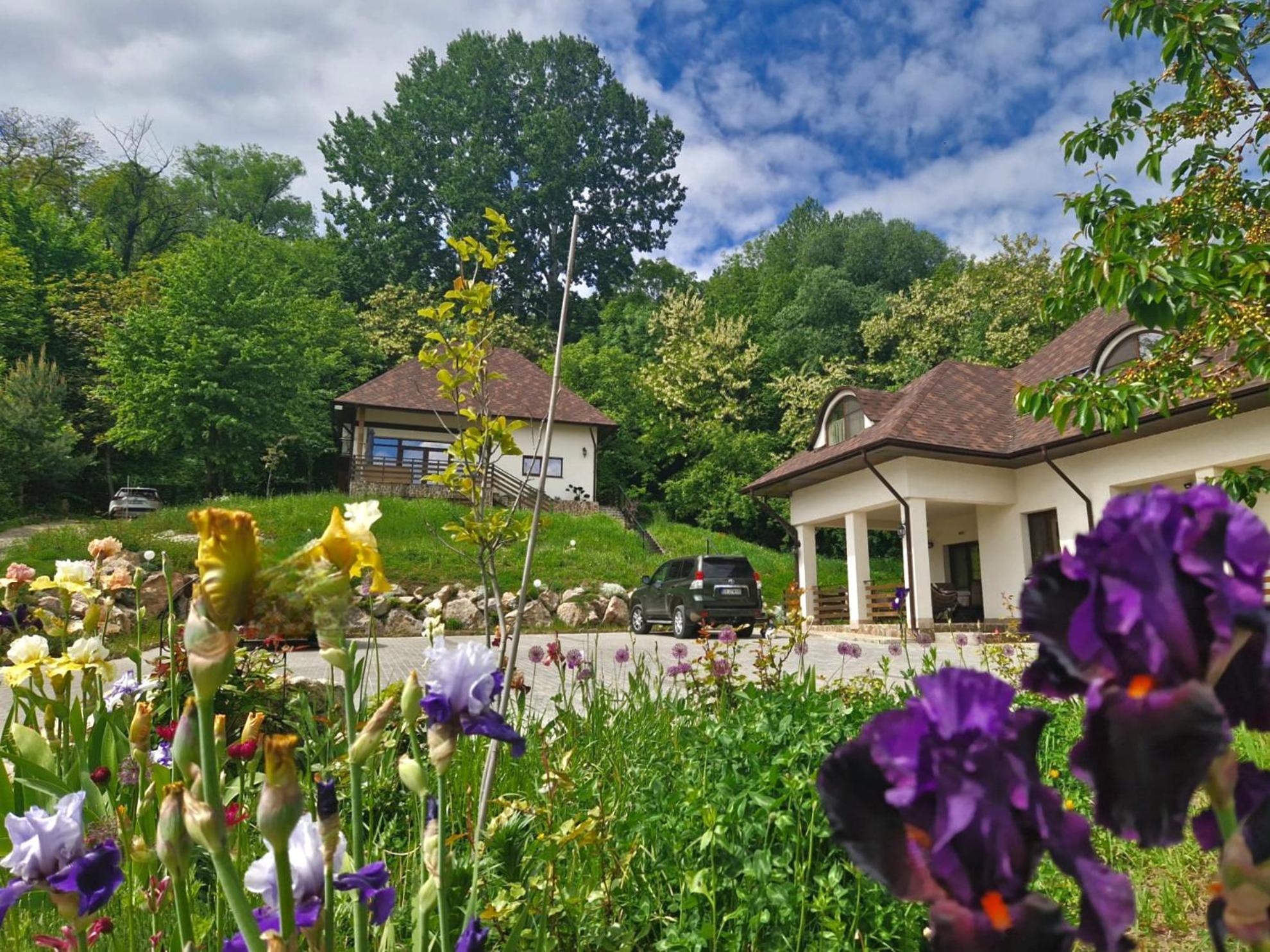 Provence Suceava Hotel Exterior foto