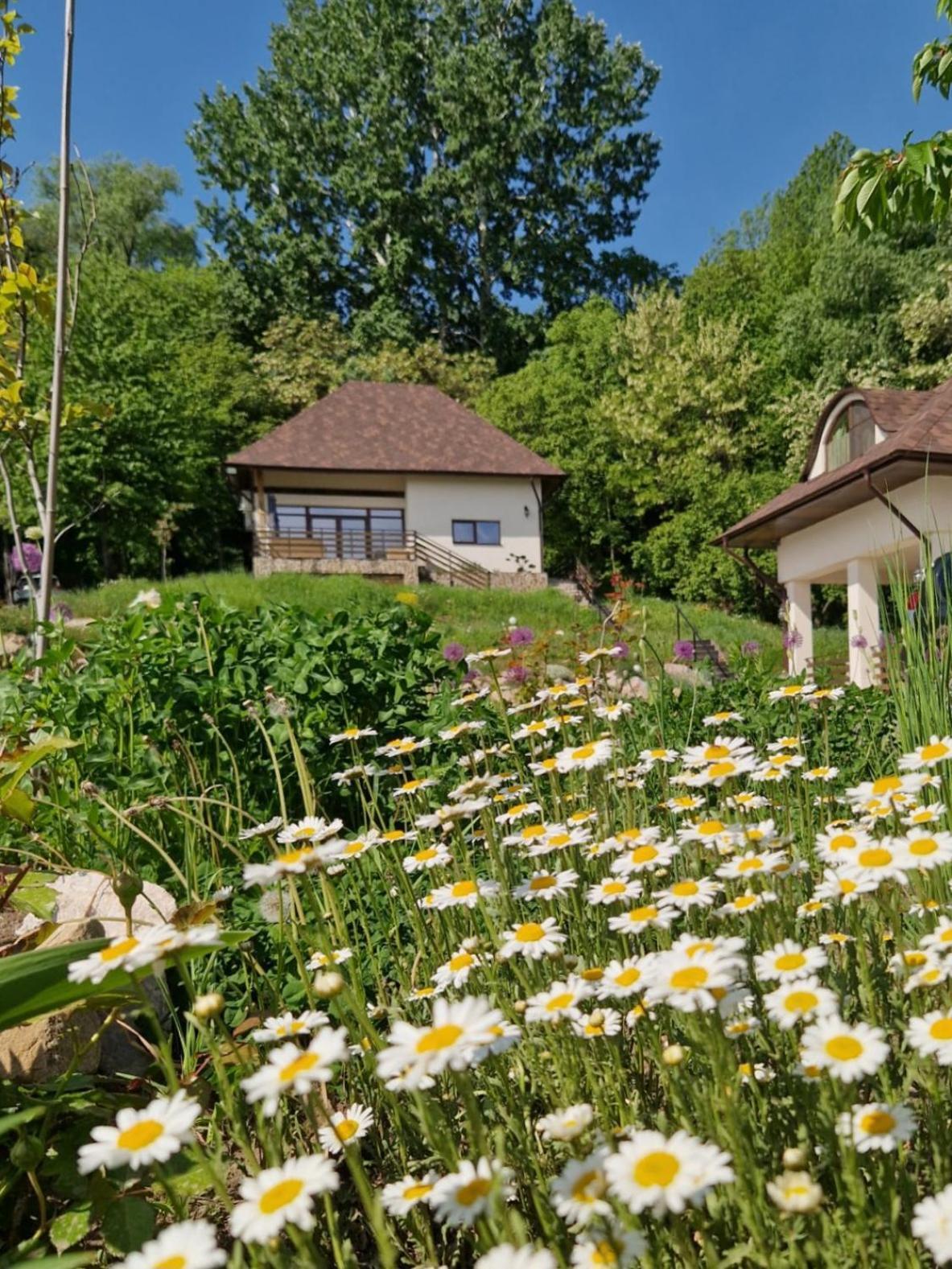 Provence Suceava Hotel Exterior foto