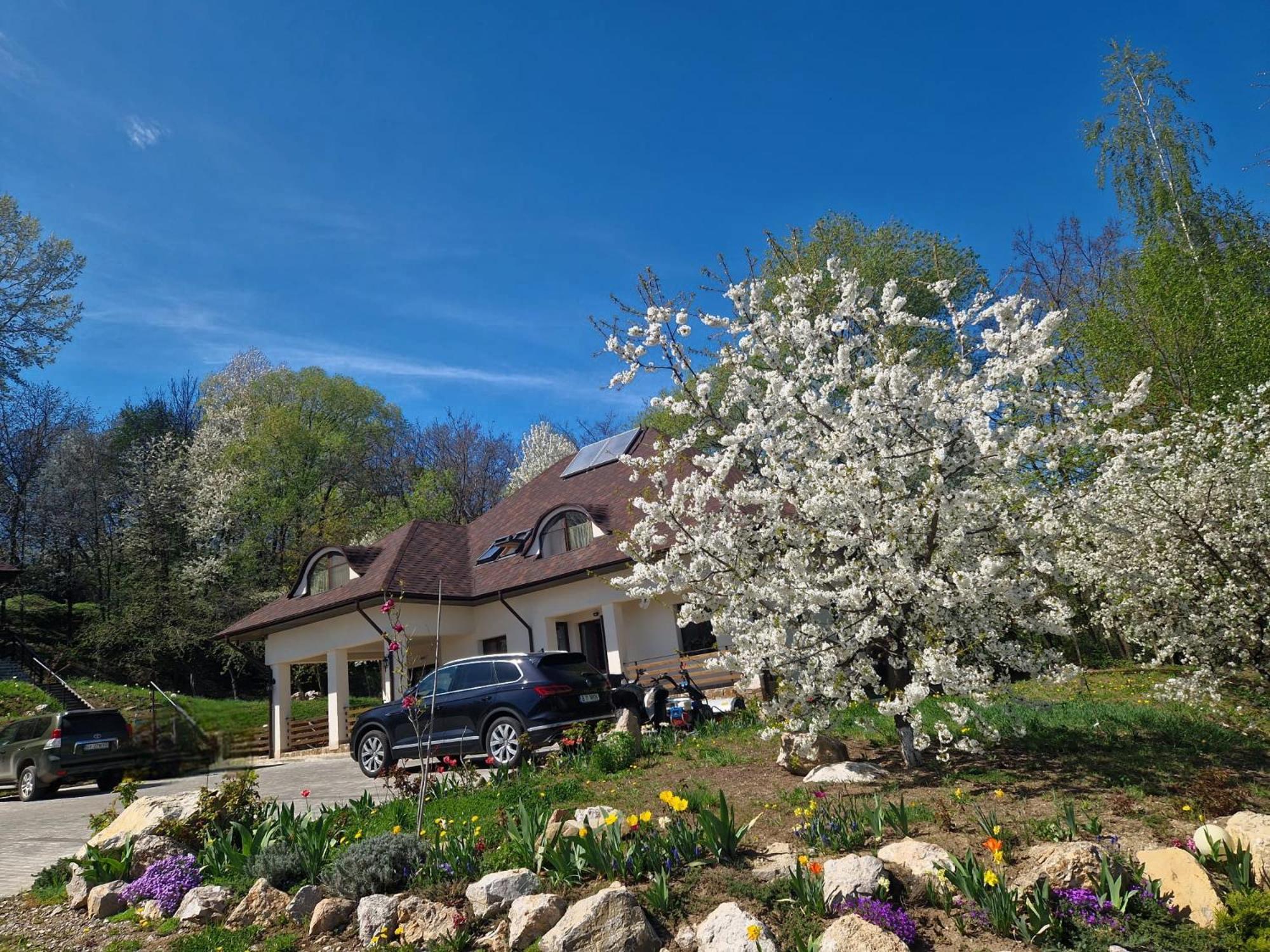 Provence Suceava Hotel Exterior foto